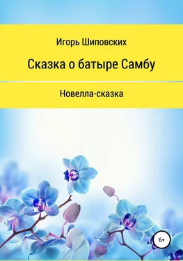 Игорь Шиповских Сказка о батыре Самбу обложка книги