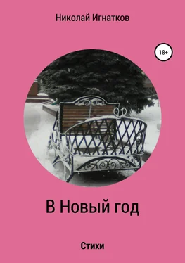 Николай Игнатков В Новый год. Книга стихотворений обложка книги