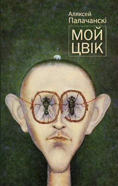 Аляксей Палачанскі Мой цвік (зборнік) обложка книги