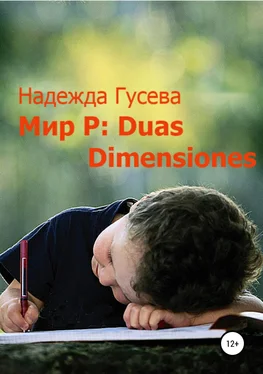 Надежда Гусева Мир Р: Duas Dimensiones обложка книги