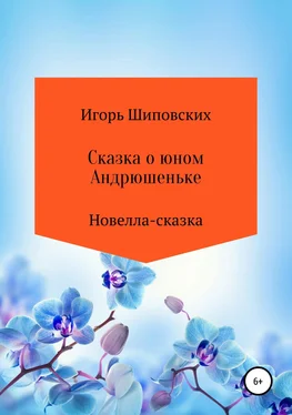 Игорь Шиповских Сказка о юном Андрюшеньке обложка книги