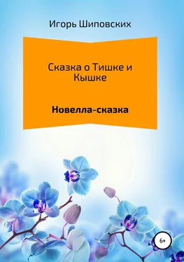 Игорь Шиповских Сказка о Тишке и Кышке обложка книги