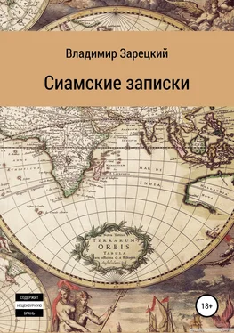 Владимир Зарецкий Сиамские записки обложка книги