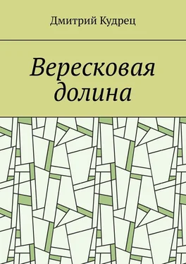 Дмитрий Кудрец Вересковая долина обложка книги