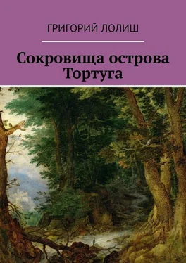 Григорий Лолиш Сокровища острова Тортуга обложка книги