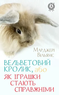 Вільямс Марджері Вельветовий Кролик, або Як іграшки стають справжніми обложка книги