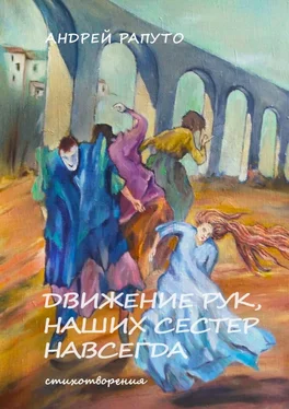 Андрей Рапуто Движение рук наших сестер навсегда обложка книги