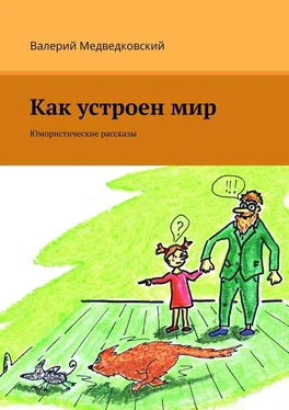 Валерий Медведковский Как устроен мир. Юмористические рассказы обложка книги