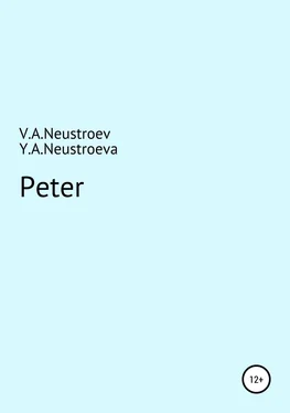 Владислав Неустроев Peter обложка книги