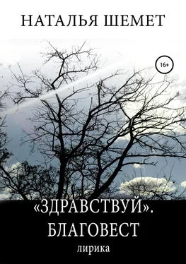 Наталья Шемет «Здравствуй». Благовест обложка книги