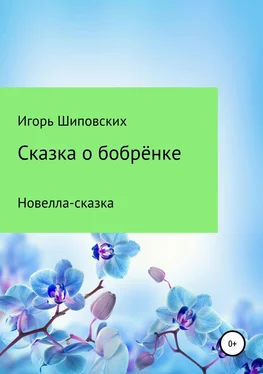 Игорь Шиповских Сказка о бобрёнке обложка книги