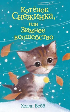 Холли Вебб Котёнок Снежинка, или Зимнее волшебство обложка книги