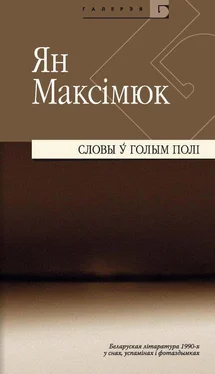 Ян Максімюк Словы ў голым полі. Беларуская літаратура 1990-х y снах, успамінах і фотаздымках (зборнік) обложка книги