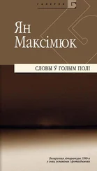 Ян Максімюк - Словы ў голым полі. Беларуская літаратура 1990-х y снах, успамінах і фотаздымках (зборнік)