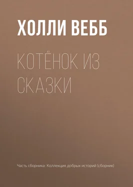 Холли Вебб Котёнок из сказки обложка книги