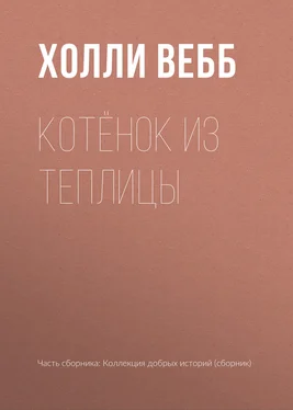 Холли Вебб Котёнок из теплицы обложка книги