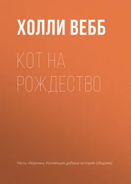 Холли Вебб Кот на Рождество обложка книги