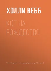 Холли Вебб - Кот на Рождество