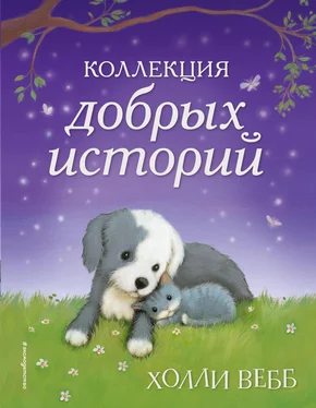 Холли Вебб Коллекция добрых историй (сборник)