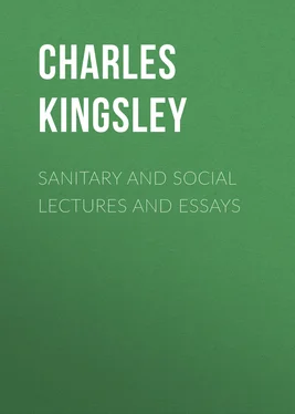 Charles Kingsley Sanitary and Social Lectures and Essays обложка книги