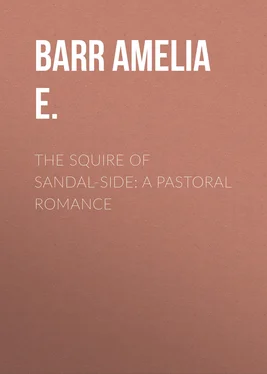 Amelia Barr The Squire of Sandal-Side: A Pastoral Romance обложка книги