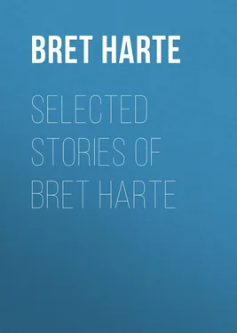 Bret Harte Selected Stories of Bret Harte обложка книги