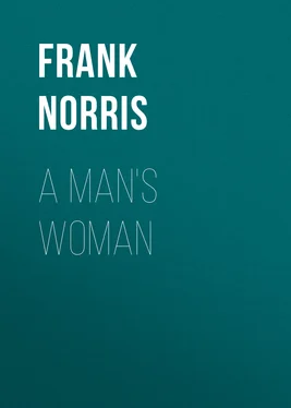 Frank Norris A Man's Woman обложка книги