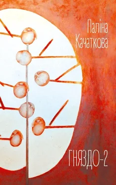 Паліна Качаткова Гняздо-2 (зборнік) обложка книги