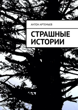 Антон Артемьев Страшные истории обложка книги