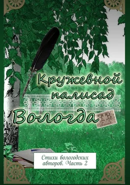 Наталья Самойленко Кружевной палисад. Стихи вологодских авторов. Часть 2 обложка книги