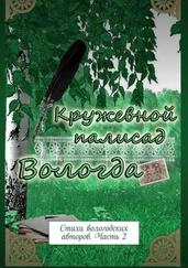 Наталья Самойленко - Кружевной палисад. Стихи вологодских авторов. Часть 2