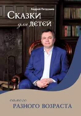 Андрей Петрушин Сказки для детей самого разного возраста обложка книги