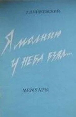 Александр Чижевский Я молнию у неба взял... обложка книги