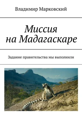 Владимир Марковский Миссия на Мадагаскаре. Задание правительства мы выполнили обложка книги