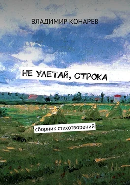 Владимир Конарев Не улетай, строка. Сборник стихотворений обложка книги