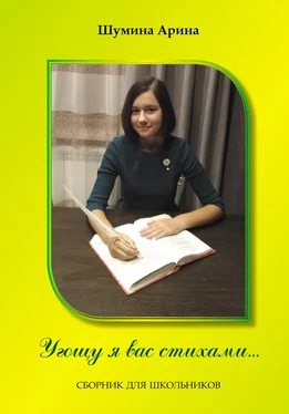 Арина Шумина Угощу я вас стихами обложка книги