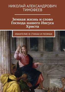 Николай Тимофеев Земная жизнь и слово Господа нашего Иисуса Христа. Евангелие в стихах и поэмах