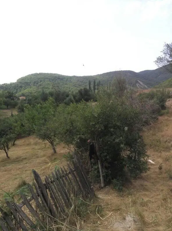 Aşıq Haşımın Qubadakı evindən açılan mənzərə Yadındamı səni harda görmüşəm - фото 12