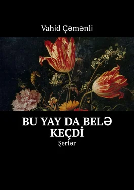 Vahi̇d Çəmənli̇ Bu yay da belə keçdi̇. Şerlər обложка книги