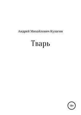 Андрей Кулагин Тварь обложка книги