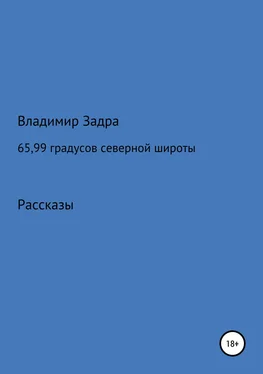 Владимир Задра 65,99 градусов северной широты. Сборник рассказов обложка книги