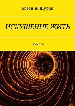 Евгений Щуров ИСКУШЕНИЕ ЖИТЬ. Повесть обложка книги