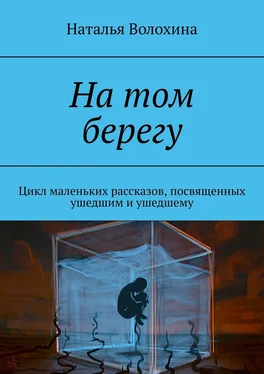 Наталья Волохина На том берегу. Цикл маленьких рассказов, посвященных ушедшим и ушедшему обложка книги