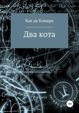 Кае де Клиари Два кота обложка книги