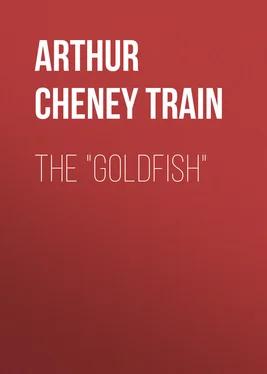 Arthur Train The Goldfish обложка книги