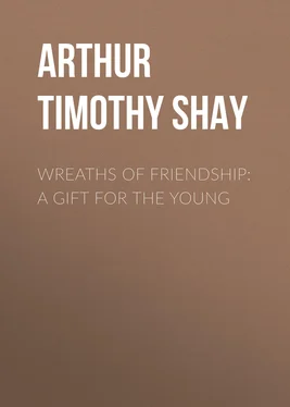 Timothy Arthur Wreaths of Friendship: A Gift for the Young обложка книги