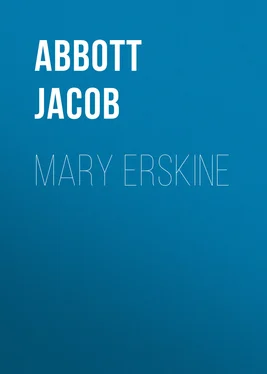 Jacob Abbott Mary Erskine обложка книги