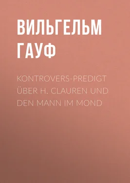 Вильгельм Гауф Kontrovers-Predigt über H. Clauren und den Mann im Mond обложка книги