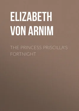 Elizabeth von Arnim The Princess Priscilla's Fortnight обложка книги