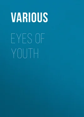 Various Eyes of Youth обложка книги